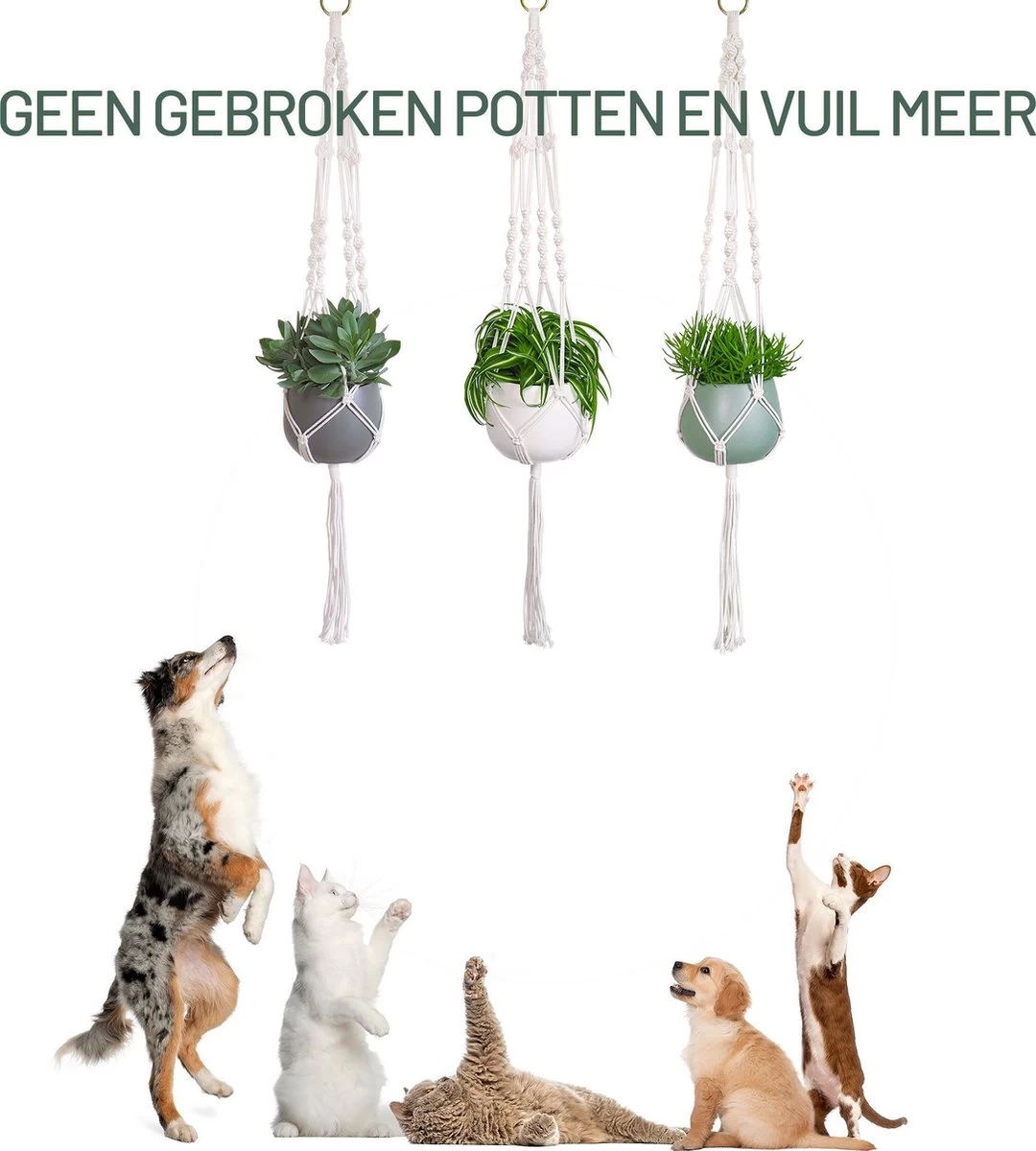 Gadgy Plantenhanger Macramé 3 Stuks - Luxe Gevlochten Touw Katoen - Plantenpot Ophangen - Hangpot - Afbeelding 7