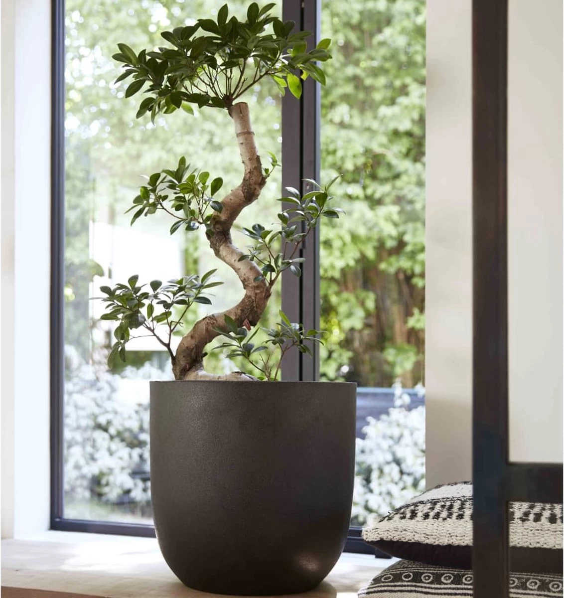 Capi Europe - Bloempot Bol Smooth NL - 43x41 - Zwart - Voor Binnen En Buiten - KBL933 - Afbeelding 7