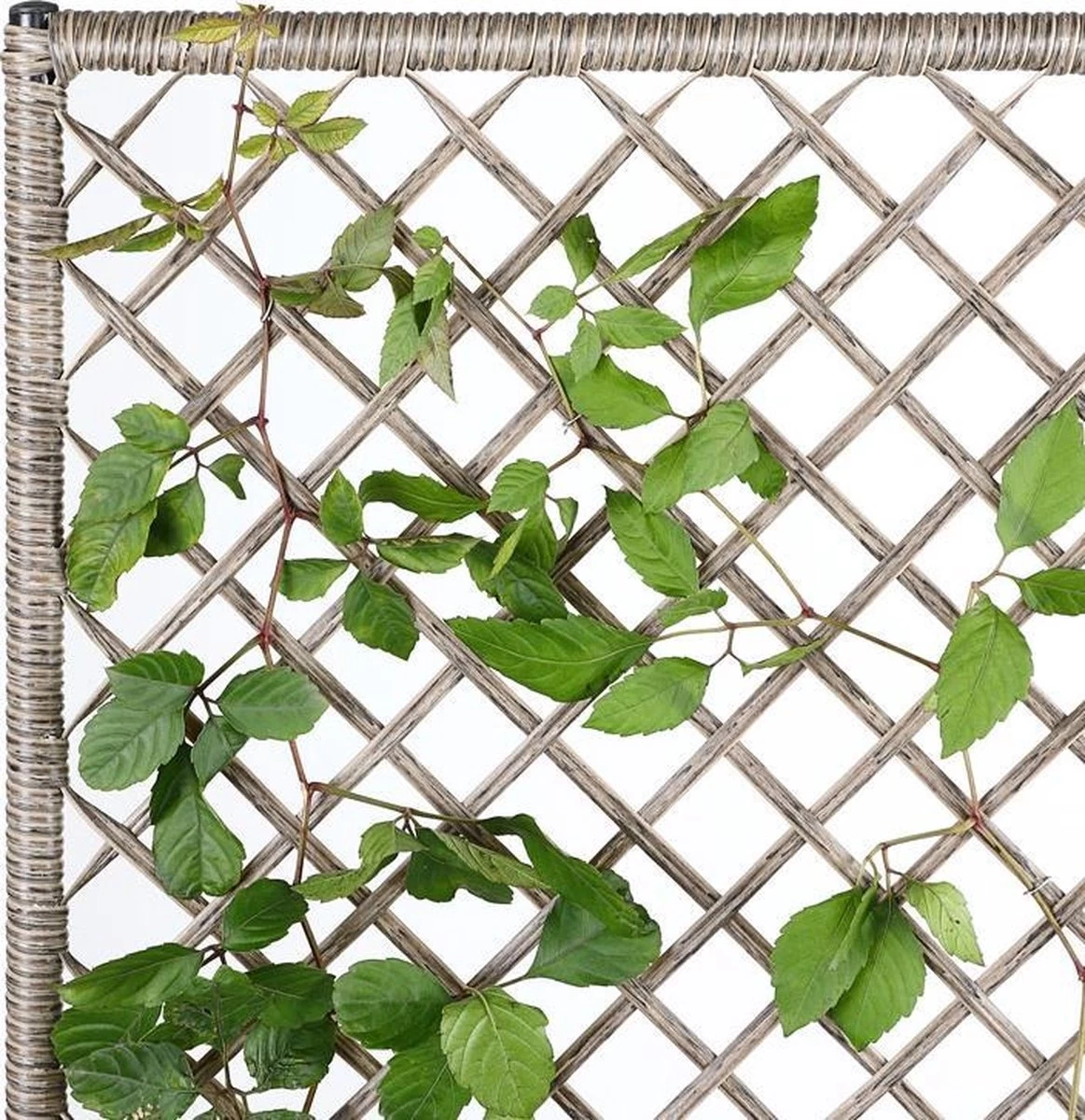 Casaria Polyrattan Bloembak – 3 Bakken Klimophek - Crème - Afbeelding 5