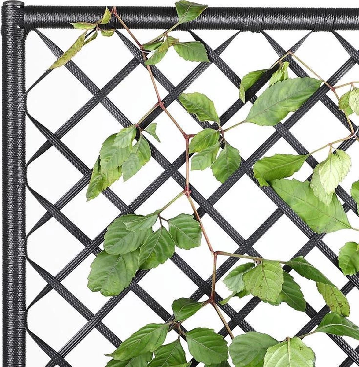 Casaria Polyrattan Plantenbak - Met Klimoprek - 3 Bakken Zwart - Afbeelding 5