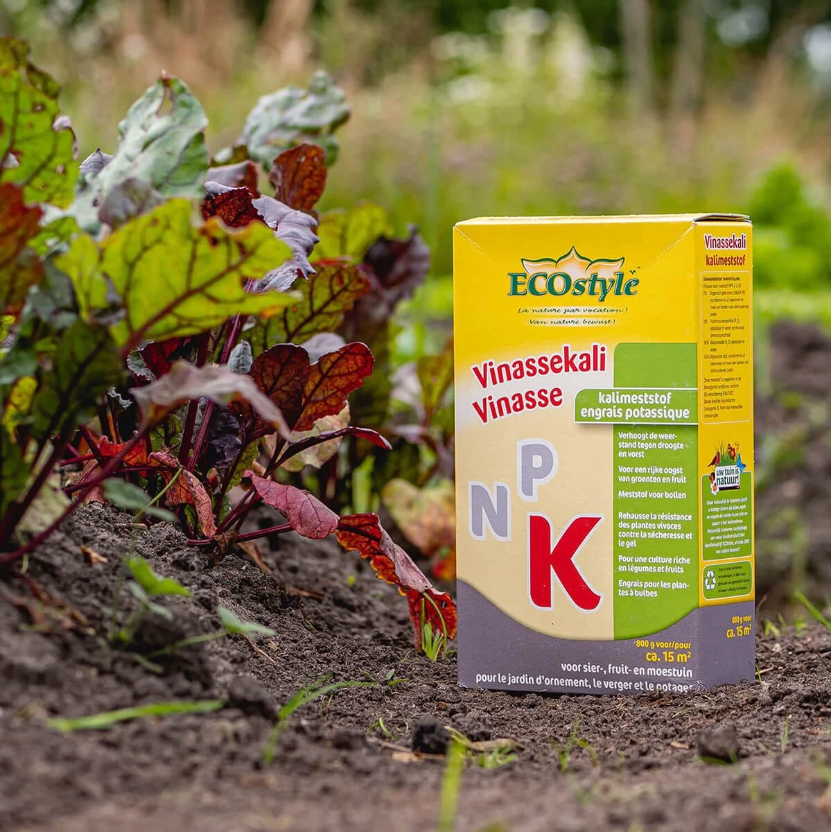 ECOStyle Vinassekali Organische Meststof - Vuor Kaliumtekort - Voor Moestuin, Siertuin En Fruit - Hoger Weerstand Tegen Droogte & Vorst - 15M² - 800 GR - Afbeelding 2