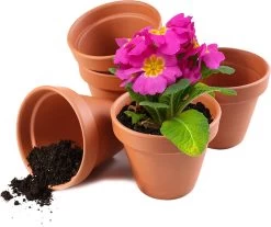 Garden Mania - 12 Mini Terracotta Keramische Klei Bloempotten Met Afvoergat, 8cm