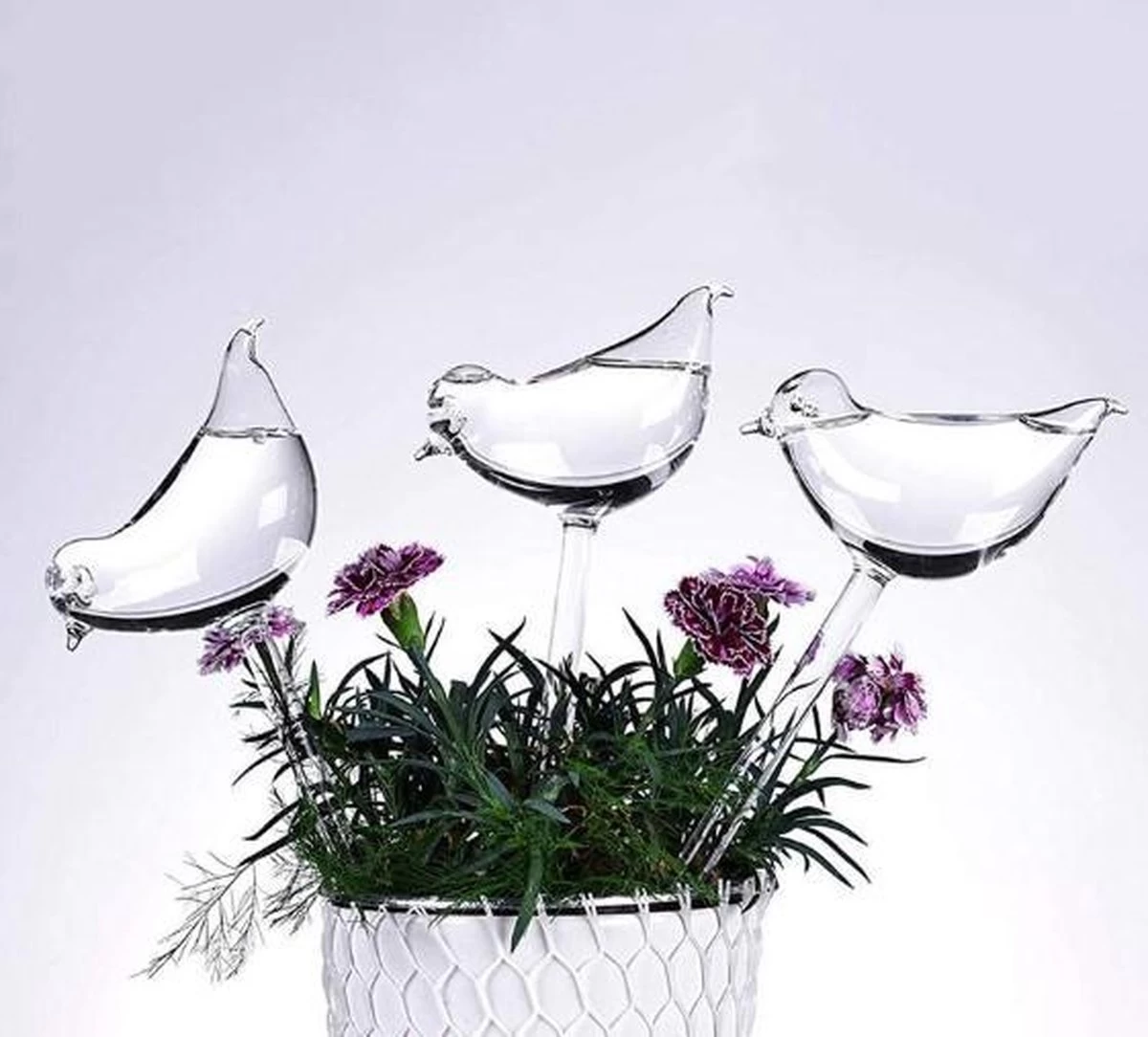Waterdruppelaar Planten - Vorm Vogel - Set Van 3 Kunststof Druppelaars - 25cm Lengte - Genoeg Water Tijdens Je Vakantie - Afbeelding 2