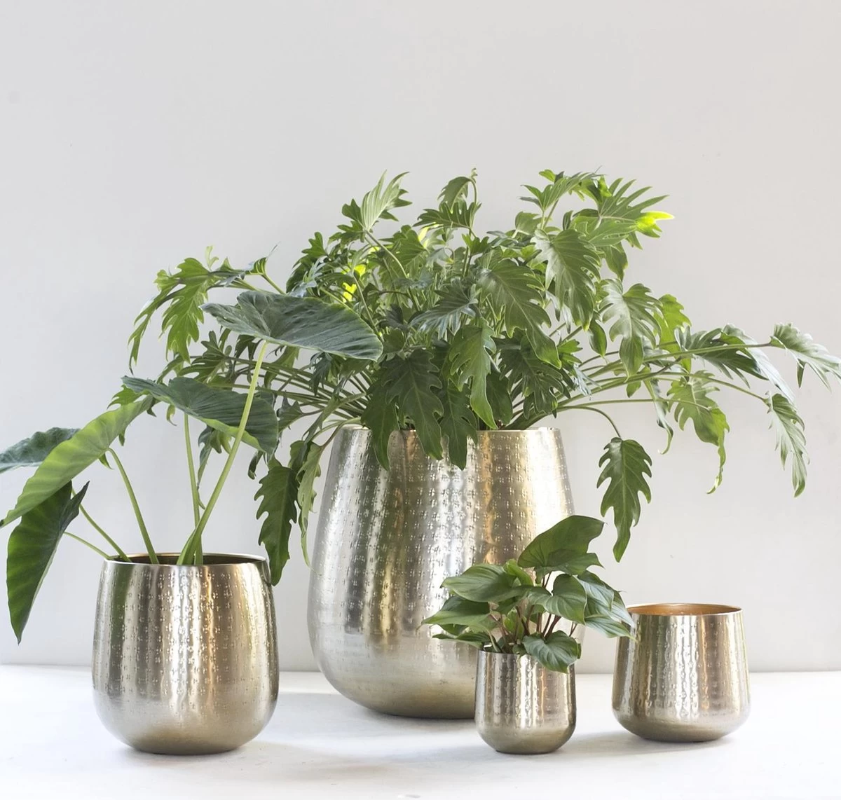 Gina Da - Bloempot - Karakter - Goud - Metaal - 15 Cm Hoog - Afbeelding 4