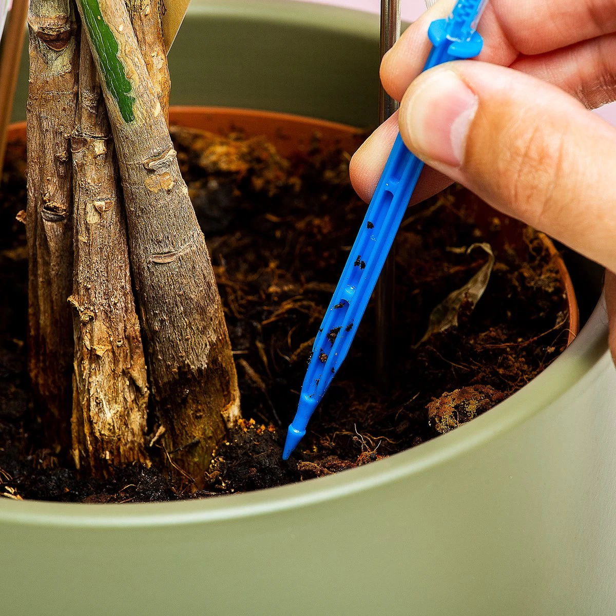 Woonaccessoires- Automatisch Watergeef Systeem | Plantenwaterer - Life Support Irrigatieapparaat | Druppelaar Kamerplanten - | Planten Watergever Met Druppelsysteem 350ml - Afbeelding 5