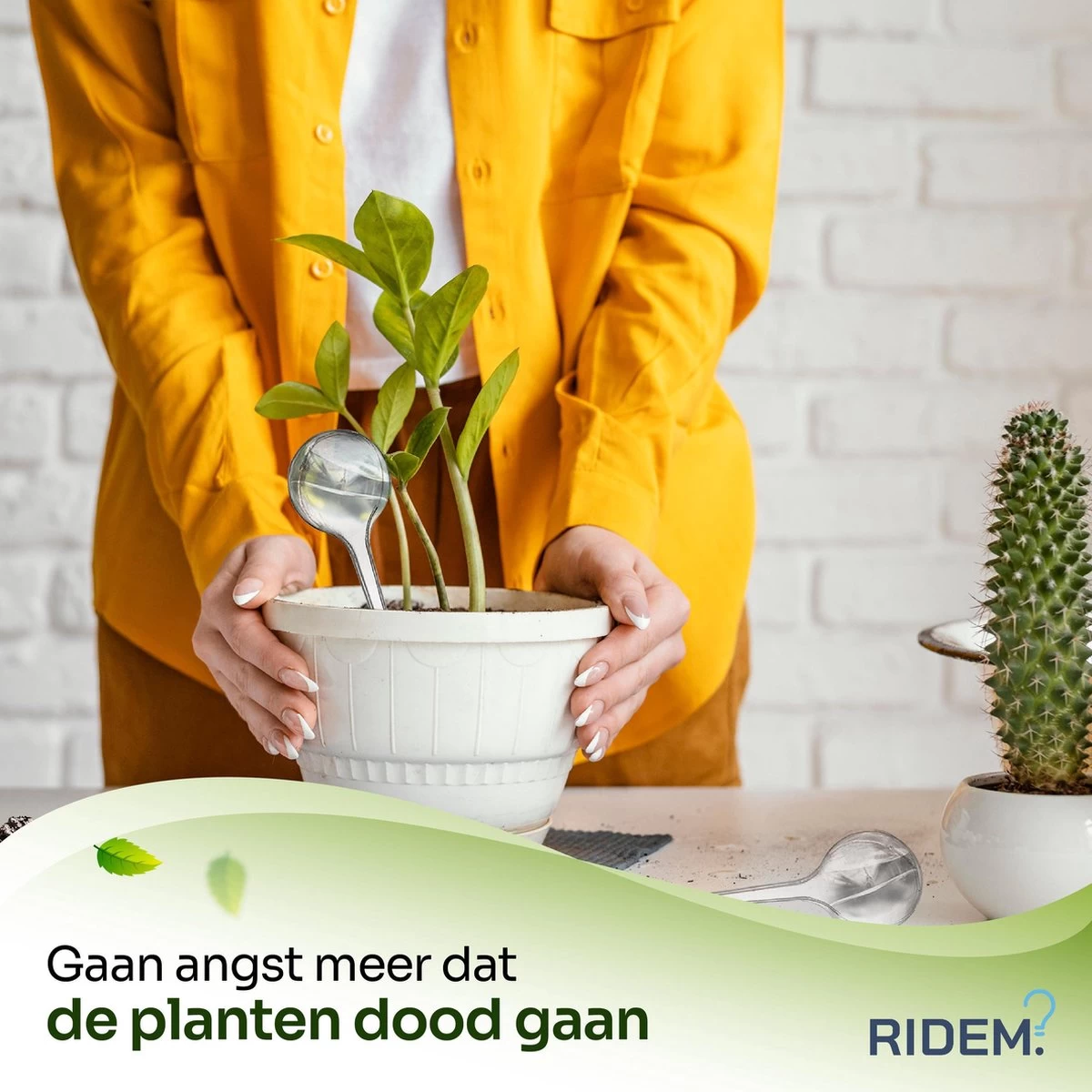 Waterdruppelaar Voor Planten - Irrigatiesysteem- Waterbol - Druppelsysteem - Watergeefsysteem Voor Kamerplanten - Plantenwatergever -6 Stuks - Transparant - Afbeelding 5