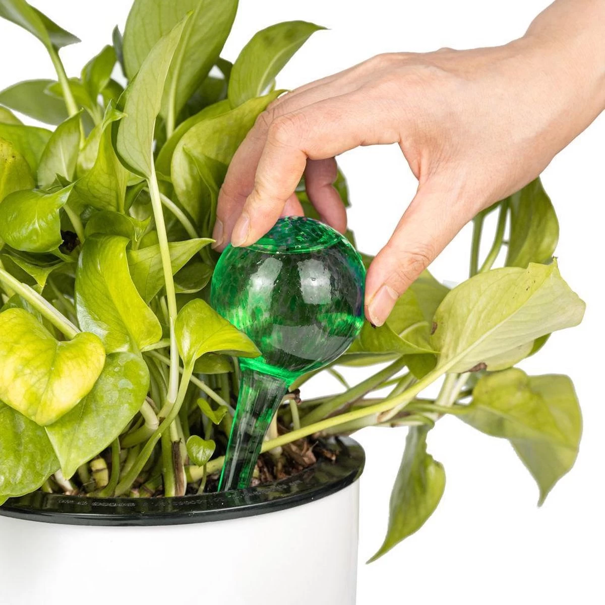 Merkloos Decopatent® 4 Stuks - Waterdruppelaar Voor Planten - Watergever - Glas - Waterbollen - Watergeefsysteem - Plantenbollen - Groen - Afbeelding 10