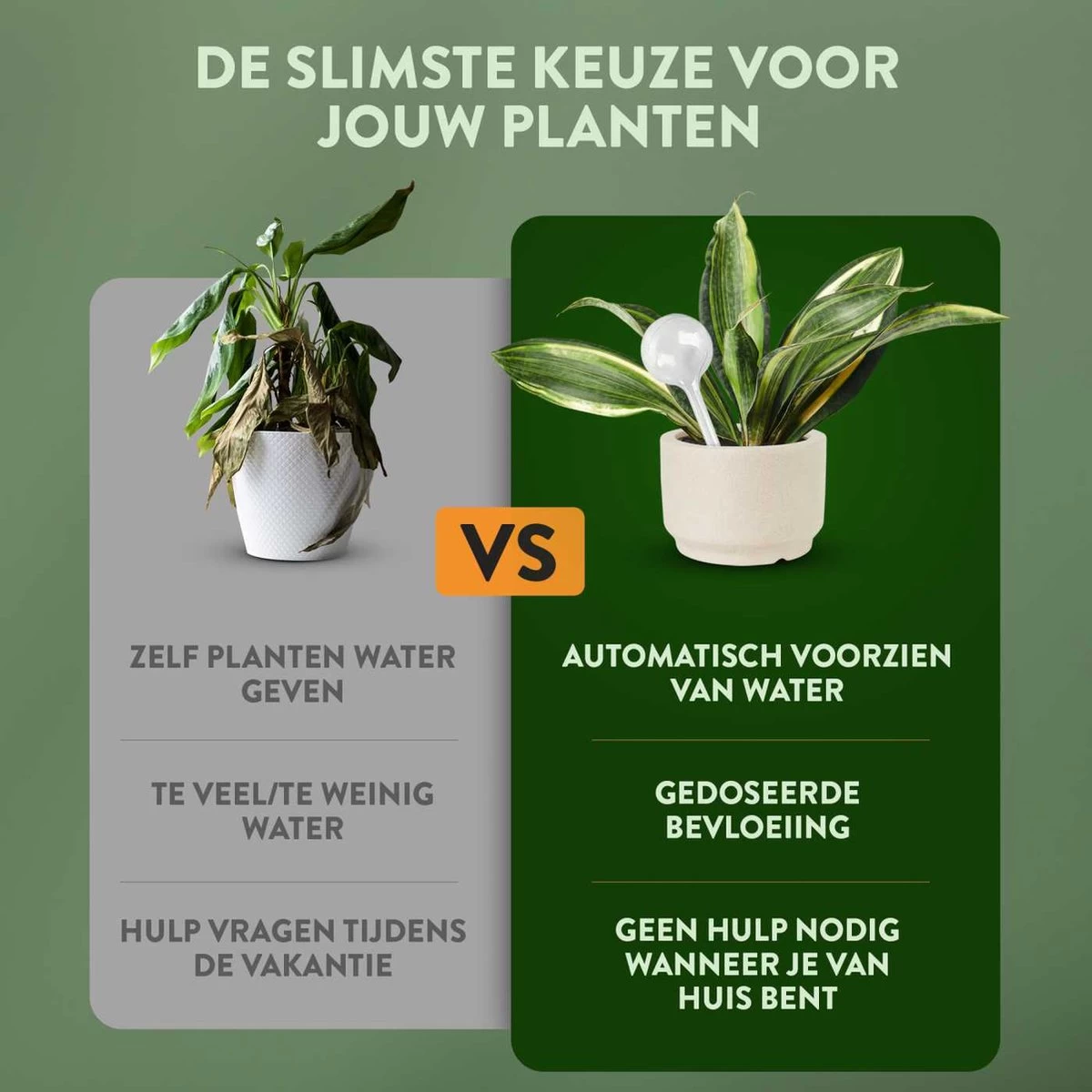 STFF & Co® Waterdruppelaar Voor Planten – Irrigatiesysteem Automatisch Watergeefsysteem – Waterbollen Voor Planten – Bewateringssysteem – 8 Stuks - 5cm - Afbeelding 3