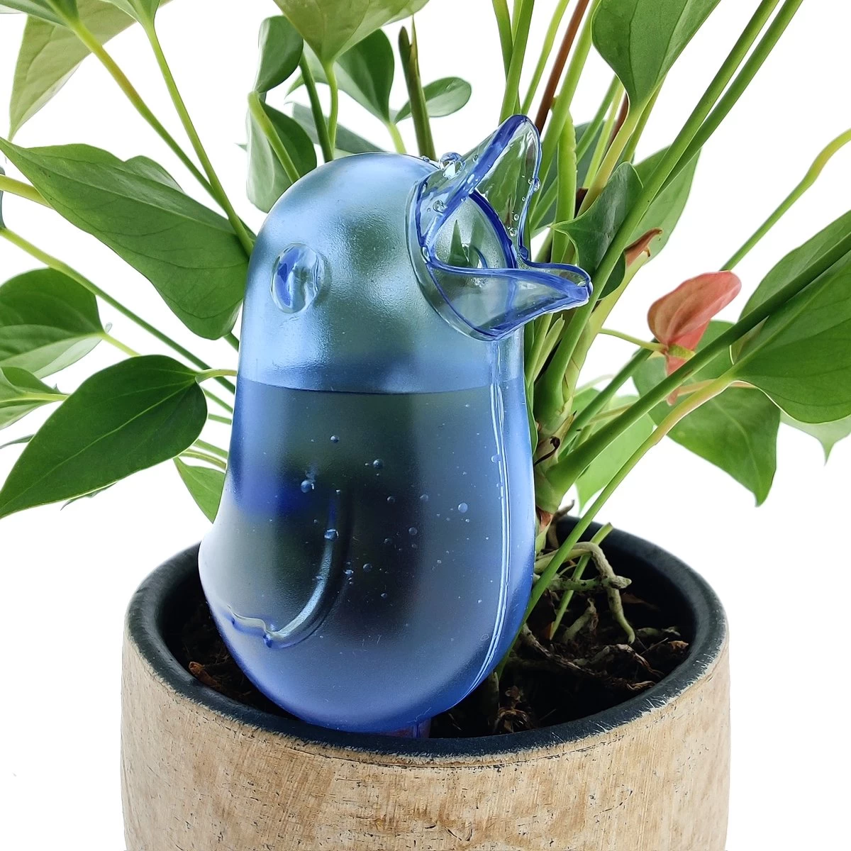 JS Drippy - Waterdruppelaars Set Van 2 Stuks - Druppelaar Vogel - Druppelsysteem Planten - Watergeefsysteem Kamerplanten - Waterbol - Blauw - Afbeelding 3