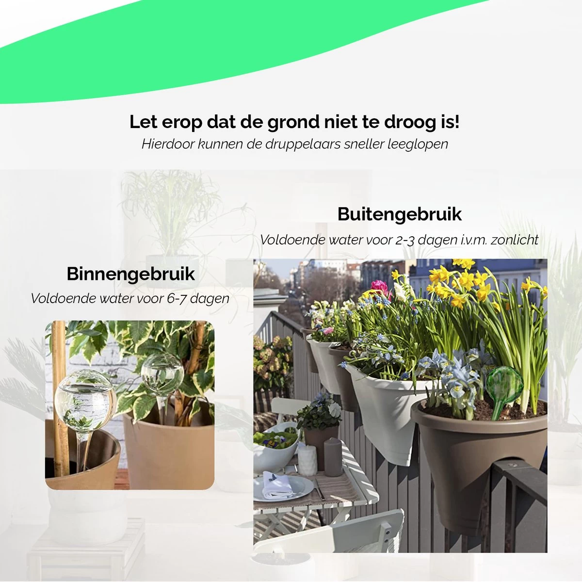 Waterdruppelaar Set Van 8 Stuks Voor Planten Transparant - Waterdruppelaar Voor Kamerplanten – Waterbol - Waterdruppelaar Voor Planten - Watergeefsysteem - Afbeelding 5