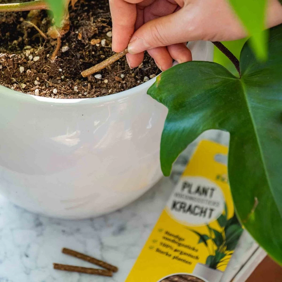 ECOstyle PlantKracht Voedingssticks - Sterke En Weerbare Potplanten - 100% Organische Planten - 120 Dagen Voeding - 30 Stuks - Afbeelding 2