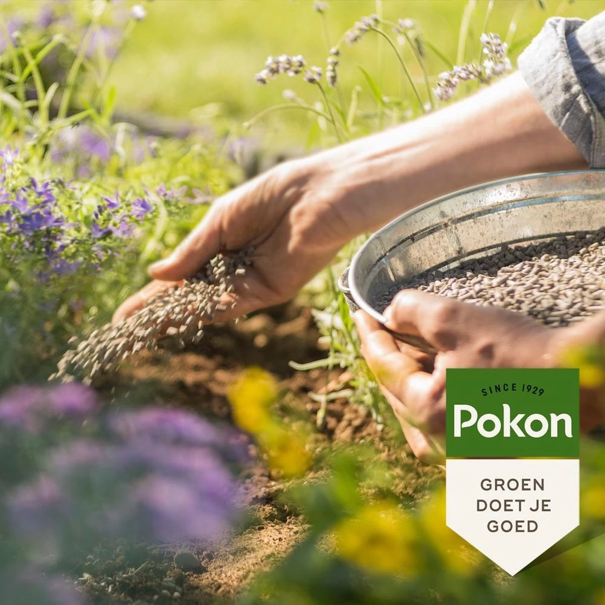 Pokon Bio Tuinmest - 5kg - Meststof (universeel) - 120 Dagen Voeding - Afbeelding 3