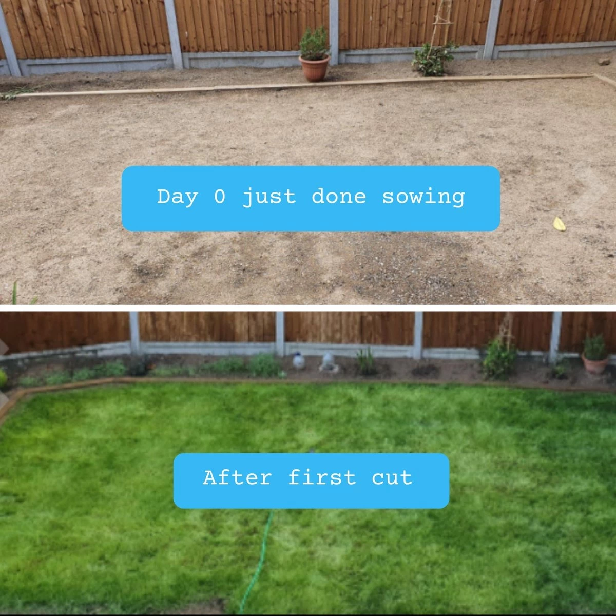 Snelwerkende Gazonmest Voor 100m² Gras | Meststof Voor Lente En Zomer | Ideaal Voor Meststofstrooier | Gazonbemesting - Afbeelding 9