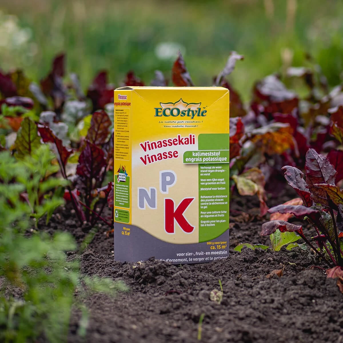 ECOStyle Vinassekali Organische Meststof - Vuor Kaliumtekort - Voor Moestuin, Siertuin En Fruit - Hoger Weerstand Tegen Droogte & Vorst - 15M² - 800 GR - Afbeelding 3