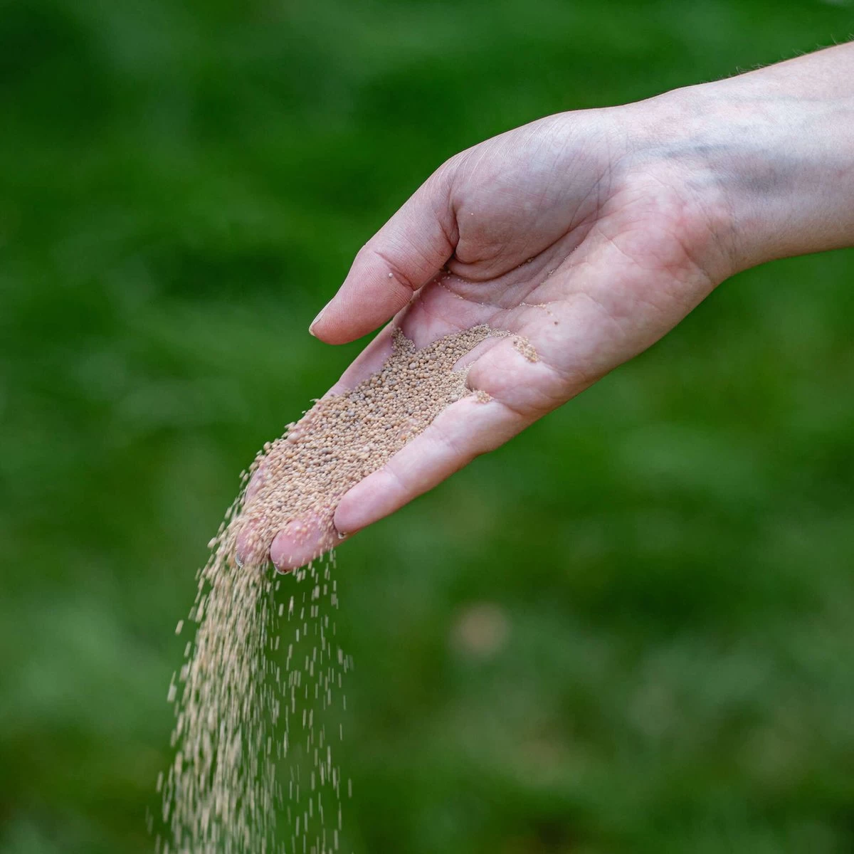 ECOstyle AZ Kalk Micro Korrel – Voor Gazon, Sier- En Moestuin - Corrigeert Zuurgraad Direct En Langdurig - Werkt Tegen Mos - CO2-Neutraal – 265 M² - 20 KG - Afbeelding 6