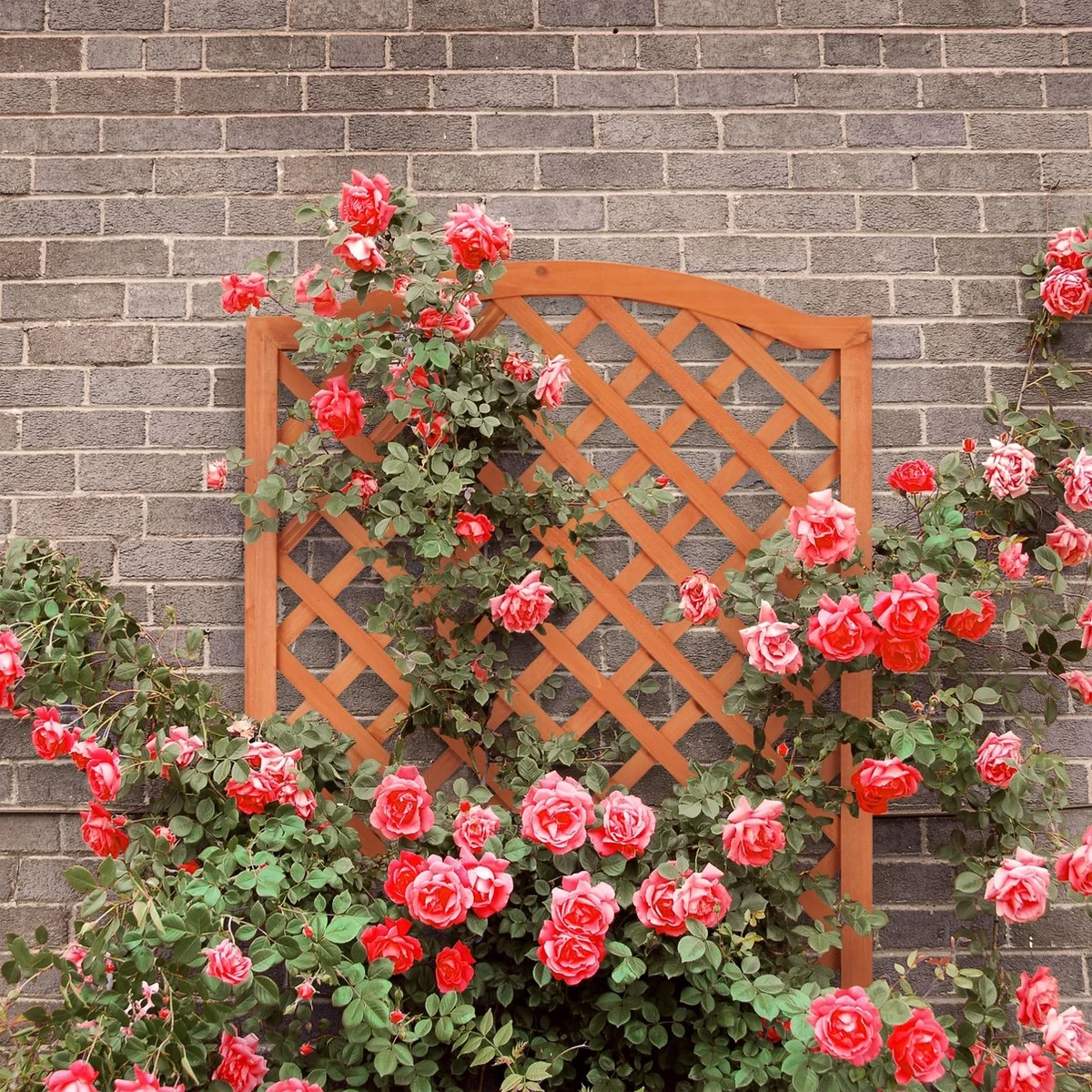 Relaxdays Plantenbak Met Klimrek - Bloembak Trellis - Rankhulp Hout - Voor Klimplanten - Afbeelding 3