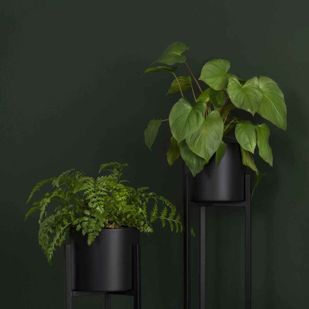 QUVIO Plantenstandaard Binnen - Inclusief Pot - Staande Plantenbak - Metaal - Bloempot - 22 X 22 X 60 Cm - Zwart - Afbeelding 5