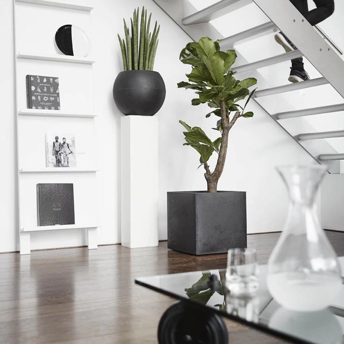 Capi Europe - Bloempot Vierkant Smooth NL - 50x50x50 - Zwart - Voor Binnen En Buiten - KBL904 - Afbeelding 2