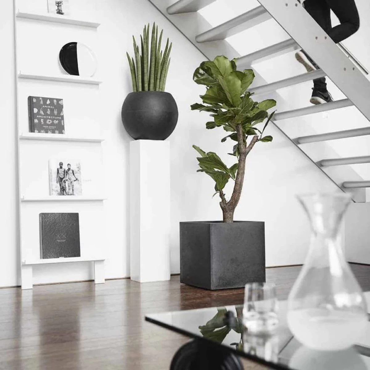 Capi Europe - Bloempot Vierkant Smooth NL - 50x50x50 - Zwart - Voor Binnen En Buiten - KBL904 - Afbeelding 20