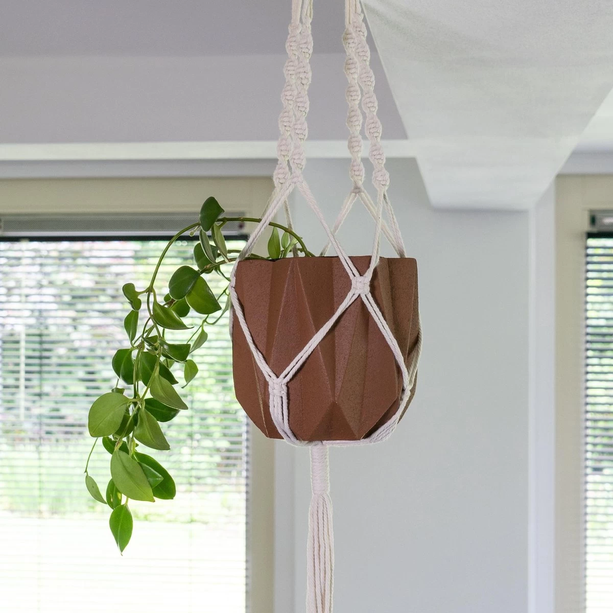 QUVIO Plantenhanger Voor Bloempot - Hangpot - Hangende Bloempot - Plantenhanger Macrame - Plantenhanger Binnen - Hangpotten - Plantenbakken - Hanging Baskets - Gevlochten Touw Met Spiralen - Afbeelding 2