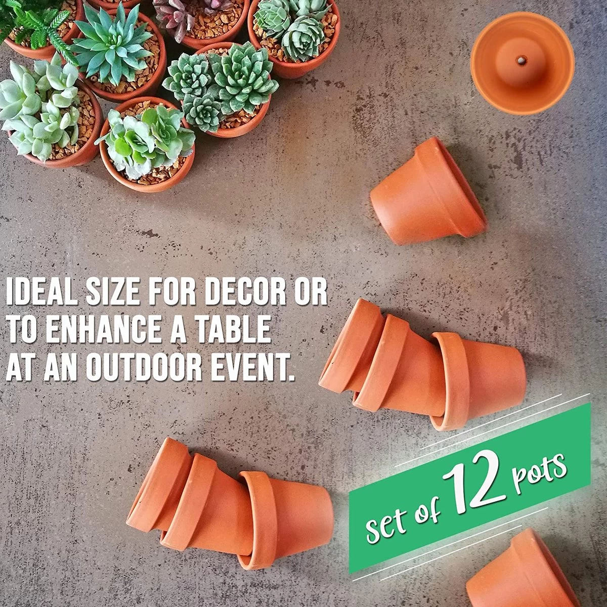 Garden Mania - 12 Mini Terracotta Keramische Klei Bloempotten Met Afvoergat, 8cm - Afbeelding 5