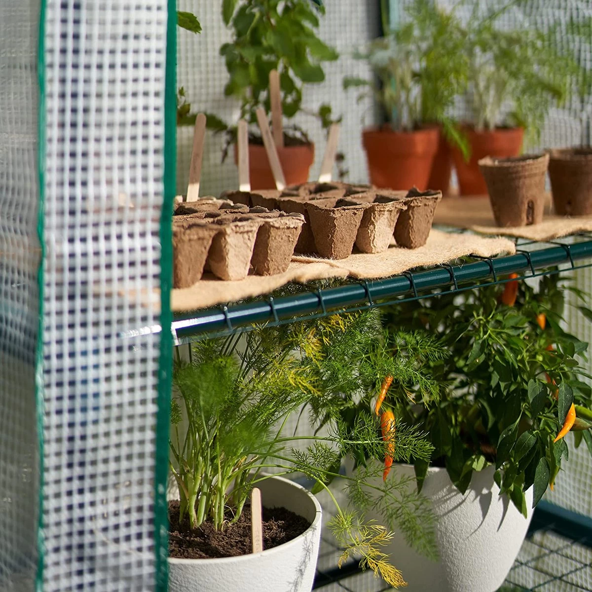 Bramble - Tuinkassen - 5 Lagen - Miniserre - Draadplanken - Gemakkelijk Te Monteren - 69 X 49 X 193 Cm - Afbeelding 7