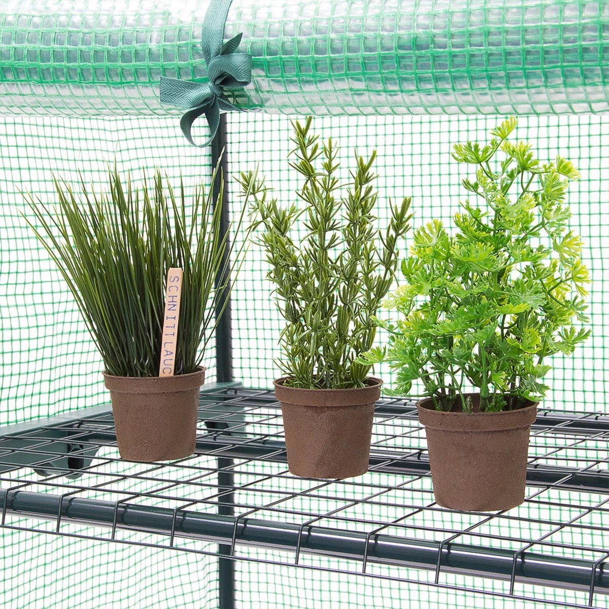 Relaxdays Kas Met Folie Voor In De Tuin Of Op Het Balkon - Tuinkas - Broeikas - Kweekkas - 4 - Afbeelding 6