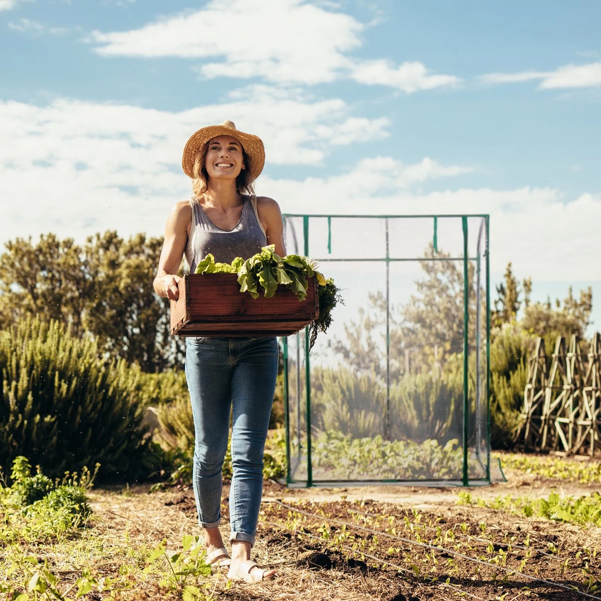 Relaxdays Tomatenkas 170 X 130 X 75 Cm - Folie Tuinkas - Grote Tomaten Kweekkas - Foliekas - Afbeelding 7