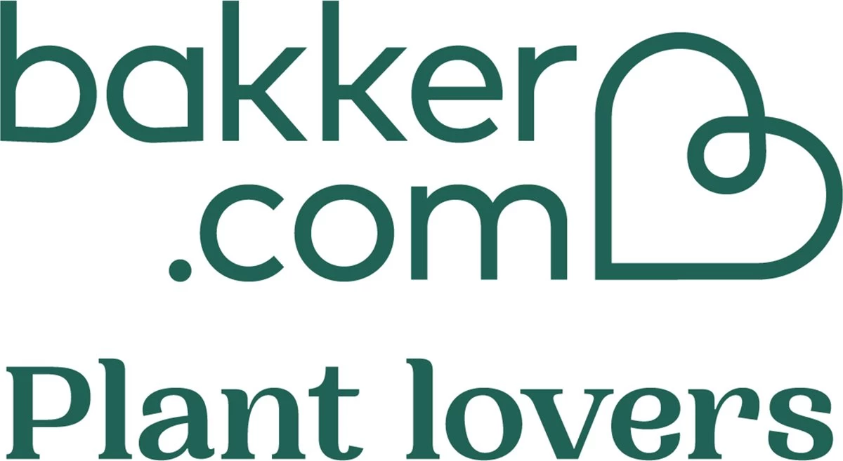 Pokon Stekpoeder - 25gr - Stimuleert Wortelvorming - Afbeelding 6