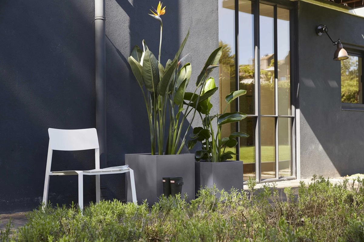 Capi Europe - Bloempot Vierkant Smooth NL - 50x50x50 - Zwart - Voor Binnen En Buiten - KBL904 - Afbeelding 8