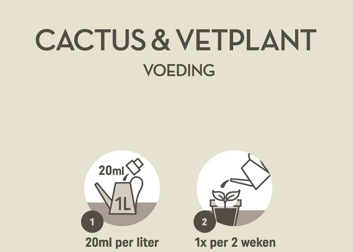 Pokon Cactus & Vetplant Voeding - 250ml - Plantenvoeding - 20ml Per 1L Water - Afbeelding 3