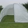 Merkloos Tunnelkas Met Structuur Van Gegalvaniseerd Staal En Deur 18 M² - L600 X B300 X H200 Cm - ALOCASIA L 300 Cm X H 200 Cm X D 600 Cm