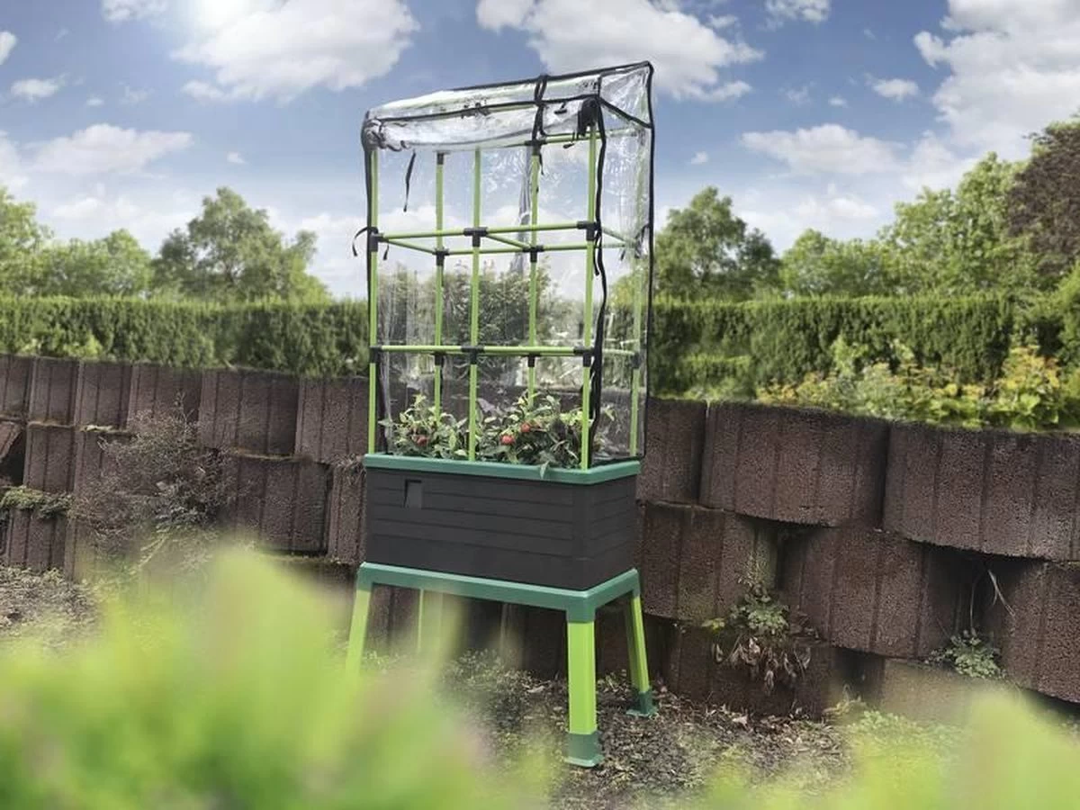 Bio Green Dekking Voor CityJungle - Afbeelding 3