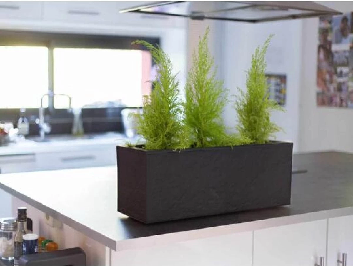 EDA Plantenbak - Bloembak - 25L - 59 X 19,5 X 22,8 Cm - Antraciet - Afbeelding 2