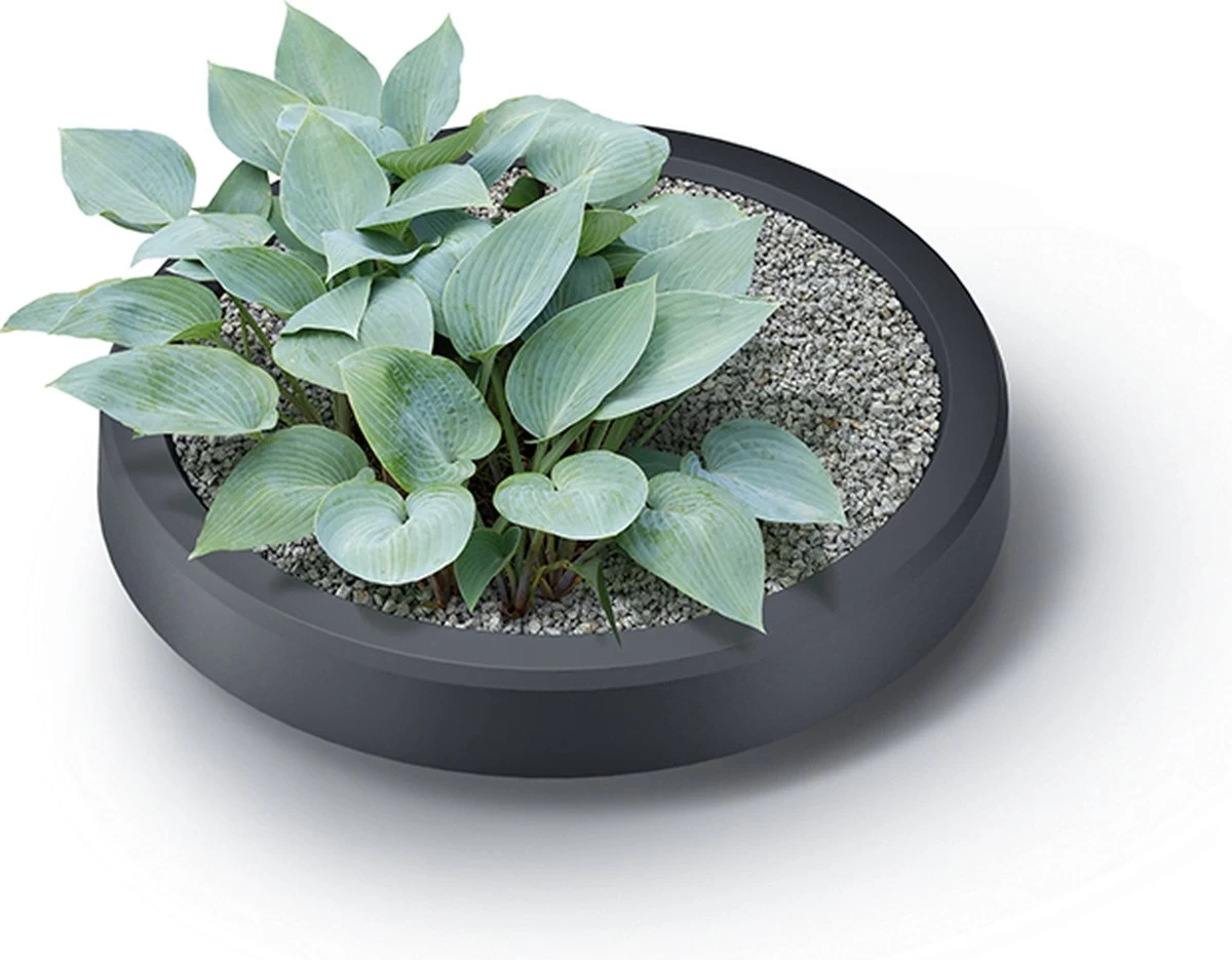 Tube - Regenton - 2-in-1 - 230 Liter - Antraciet - Afbeelding 2