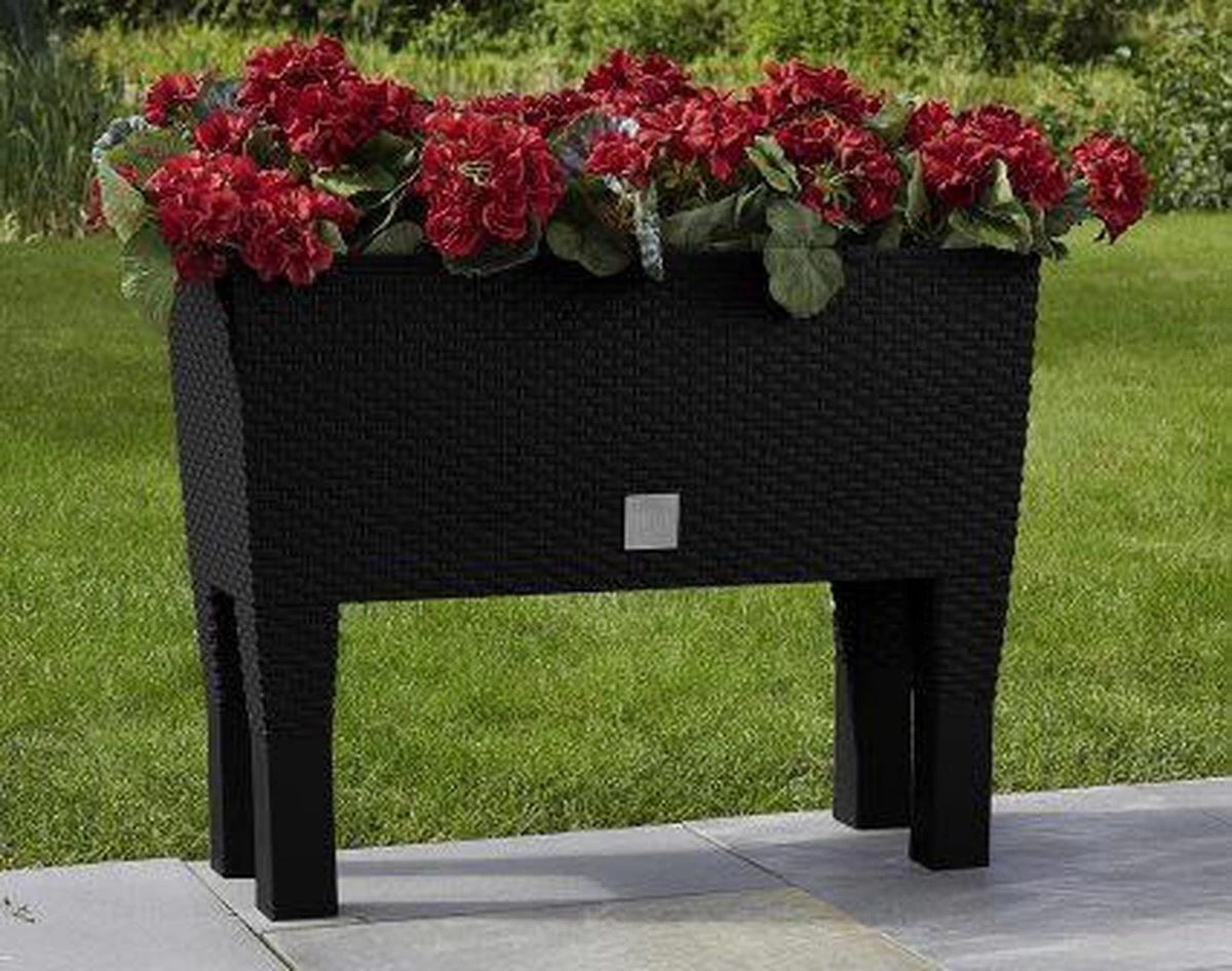 Prosperplast Kunststof Rato Plantenbak Op Poten Met Irrigatiesysteem Antraciet 80 X 33 X 62 Cm - 72 Liter - Balkonbakken/bloembakken - Afbeelding 10