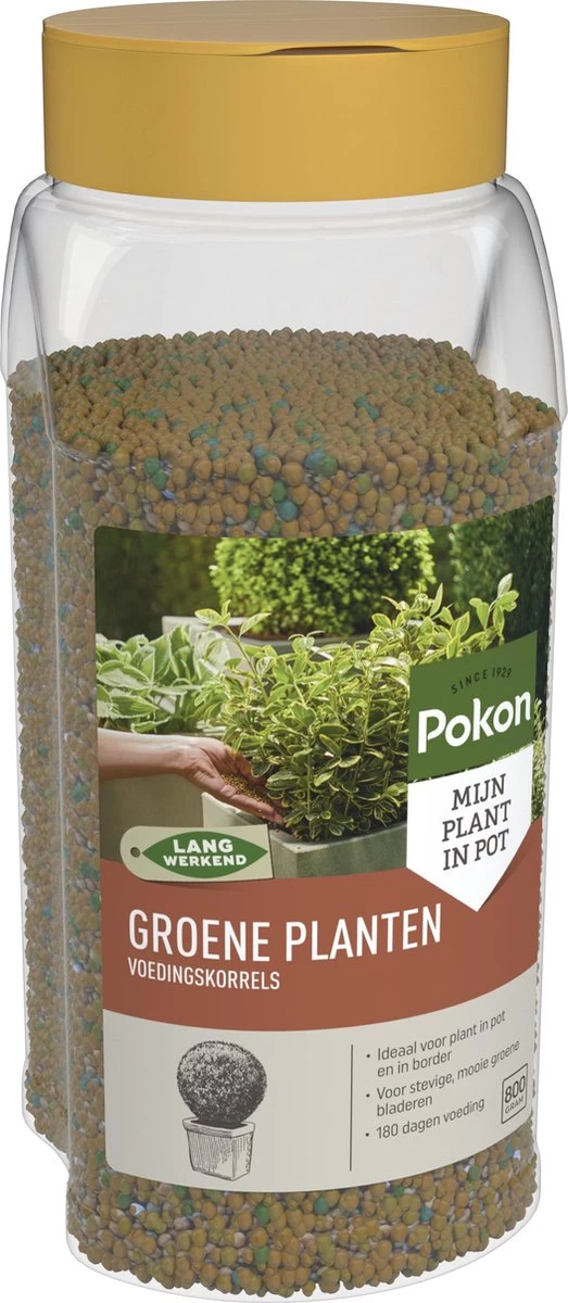 Pokon Voedingskorrels Voor Groene Planten - 800gr - 180 Dagen Voeding - Plantenvoeding - Afbeelding 2