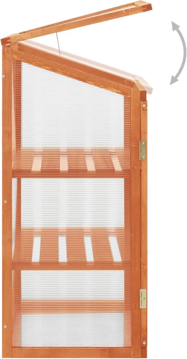 VidaXL Broeikas 60x45x100 Cm Vurenhout - Afbeelding 3