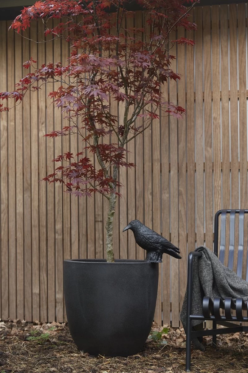 Capi Europe - Bloempot Bol Smooth NL - 43x41 - Zwart - Voor Binnen En Buiten - KBL933 - Afbeelding 10