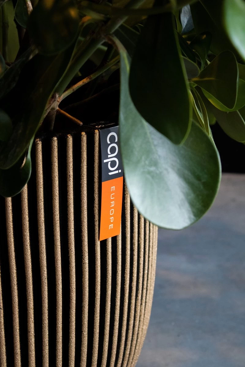 Capi Europe - Vaas Elegant Laag Groove NL - 46x58 - Goud - Voor Binnen En Buiten - KGVGB783 - Afbeelding 2