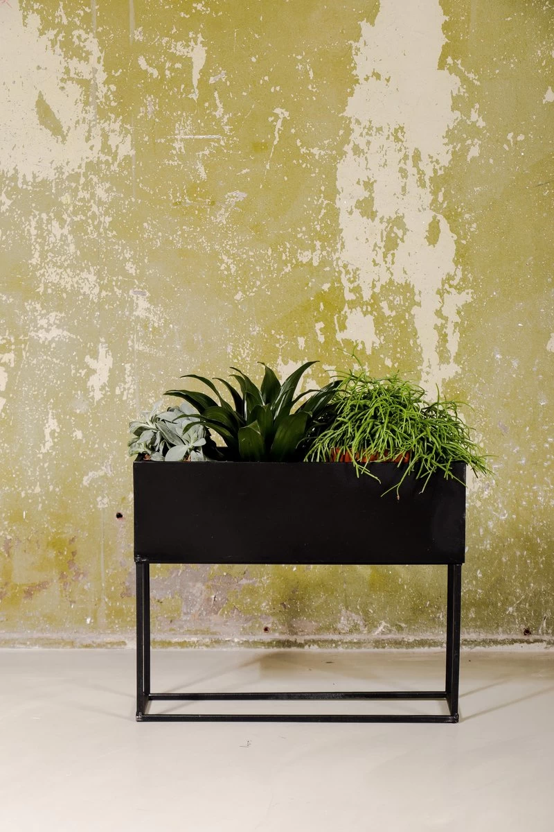 SENZA Rechthoekige Plantenbak - Bloemenbak Ijzer - 42.5 X 34cm - Zwart - Afbeelding 3