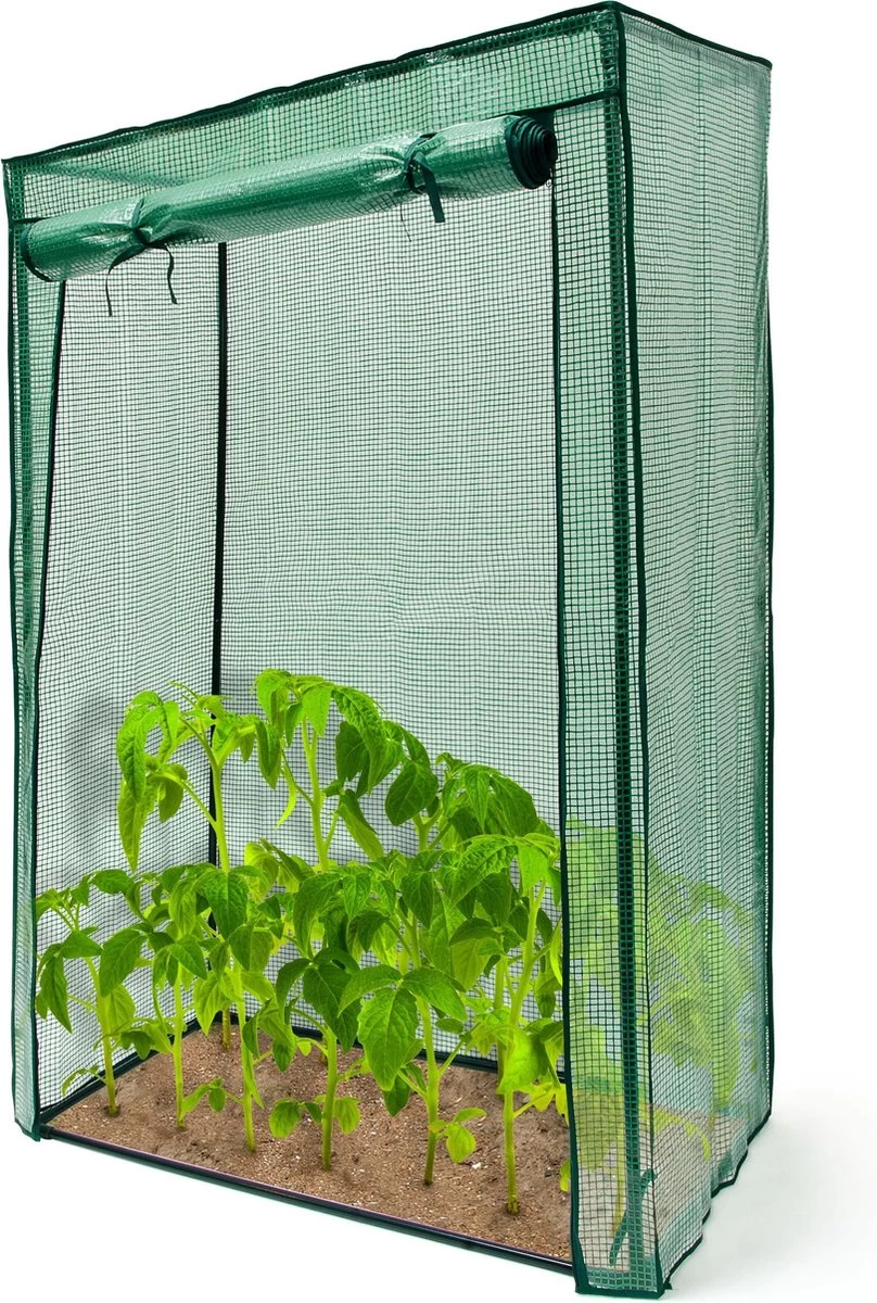 Relaxdays Tomatenkas 150x100x50 Cm - Tuinkas Tomaten - Foliekas - Serre - Kweekkas - PVC - Afbeelding 14