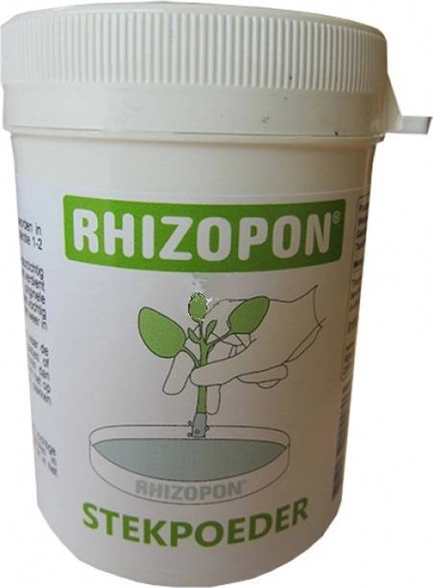 RHIZOPON CHRYZOTOP GROEN STEKPOEDER 0.25% 25 GRAM - Afbeelding 2