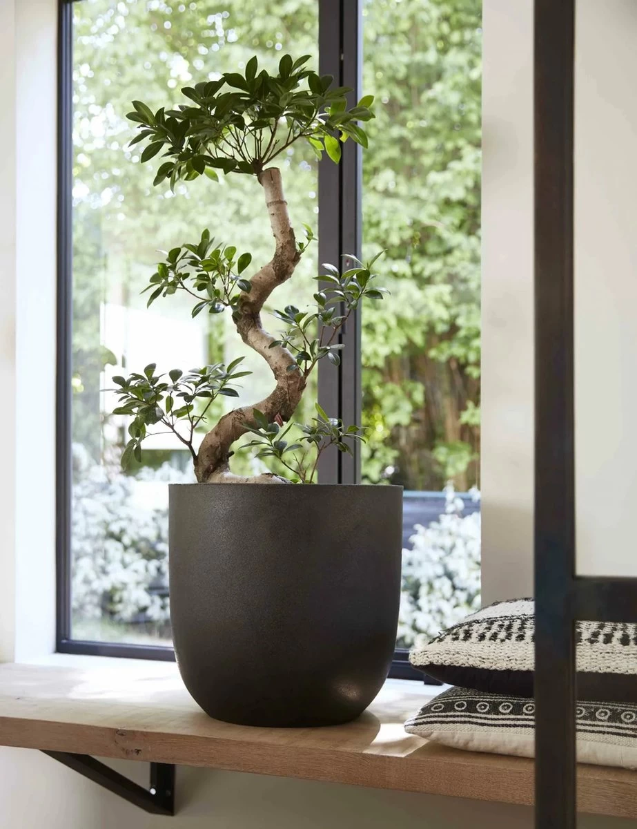 Capi Europe - Bloempot Bol Smooth NL - 43x41 - Zwart - Voor Binnen En Buiten - KBL933 - Afbeelding 2