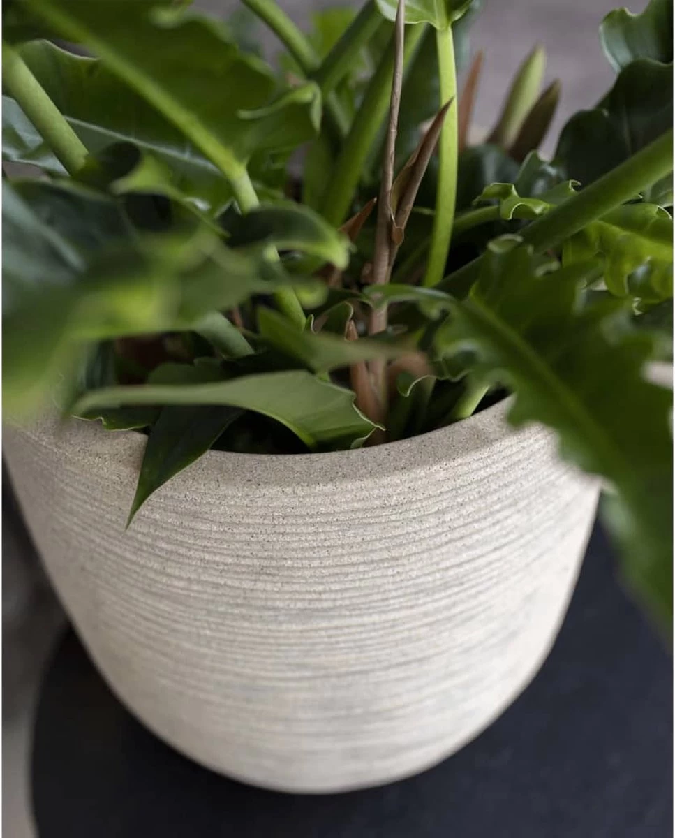 Capi Europe - Bloempot Bol Waste Rib NL - 35x34 - Terrazzo Beige - Voor Binnen En Buiten - KTBR932 - Afbeelding 6