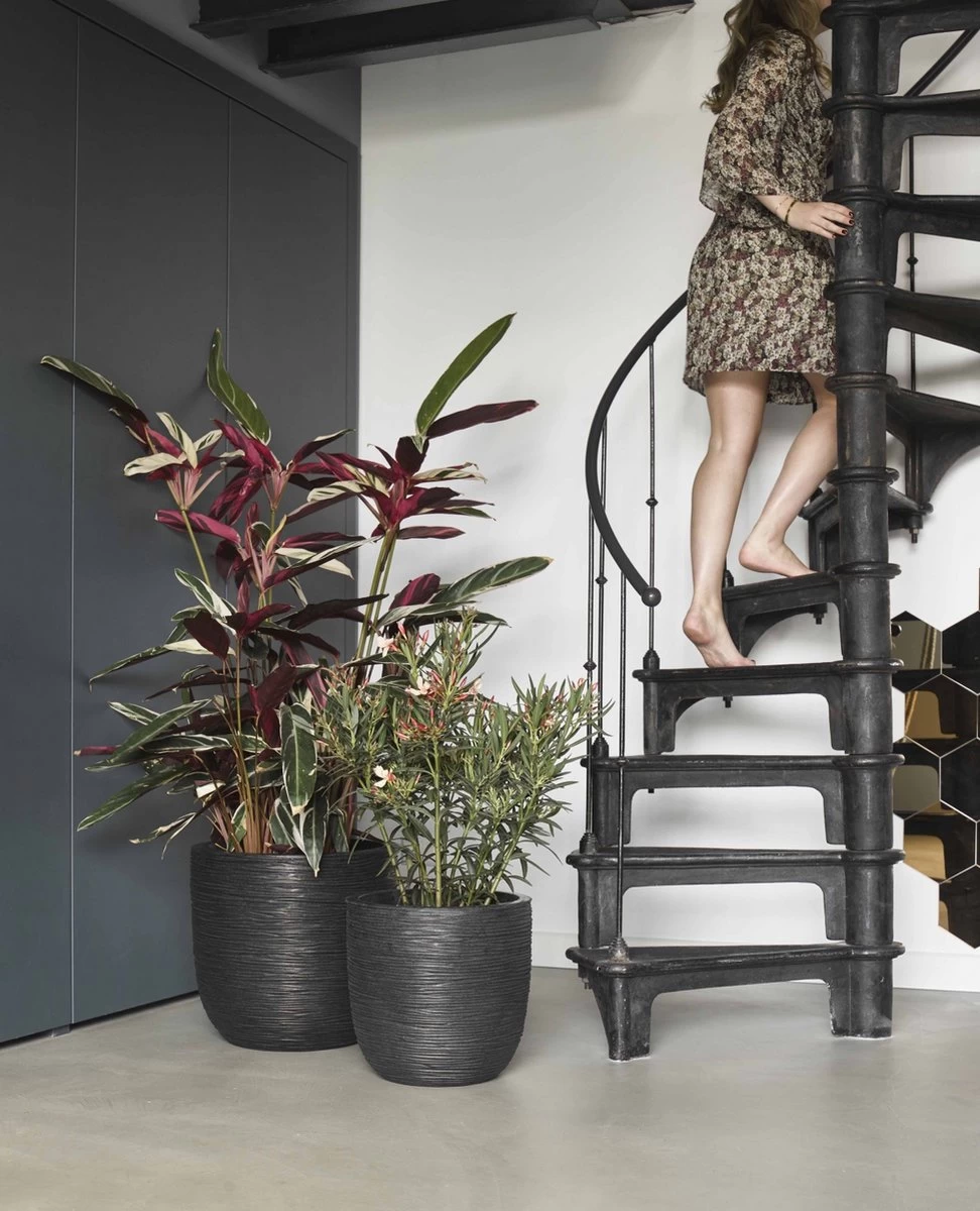 Capi Europe - Bloempot Bol Rib NL - 54x52 - Zwart - Voor Binnen En Buiten - KBLR935 - Afbeelding 10